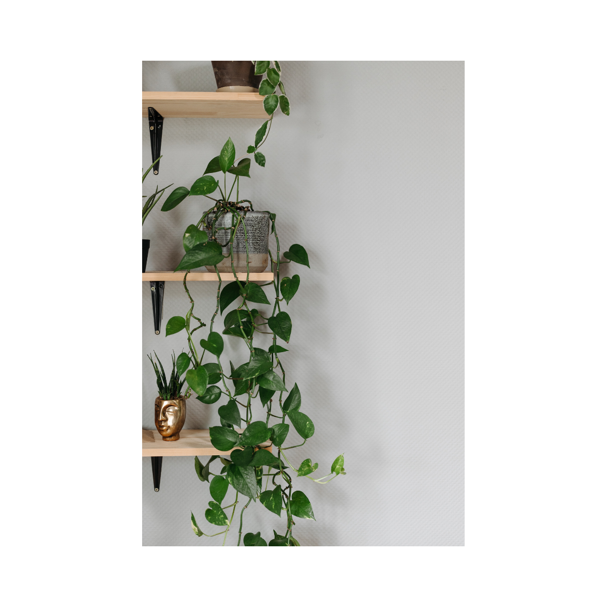 Wooden Wall Shelf - Image 7