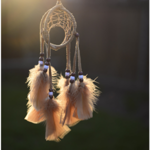 Dream Catcher